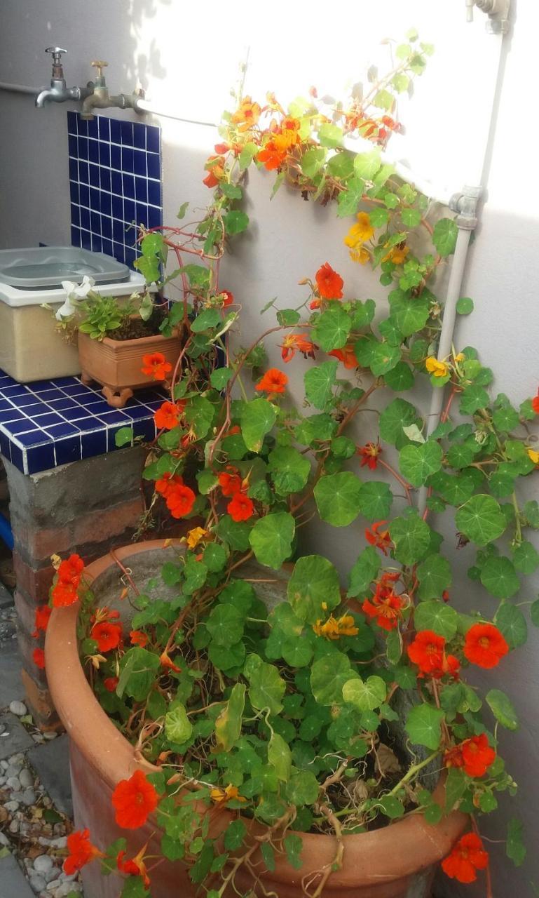 The Gift Appartement Agulhas Buitenkant foto