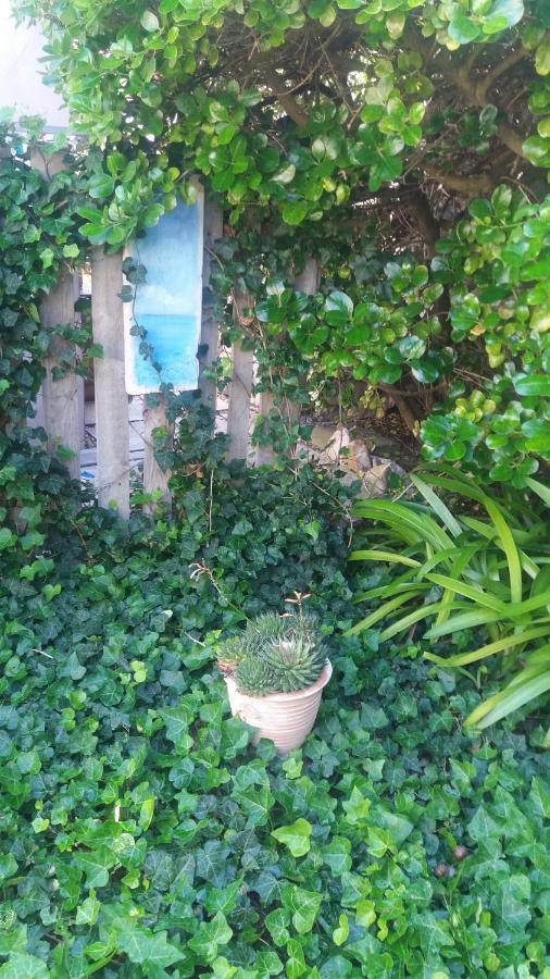 The Gift Appartement Agulhas Buitenkant foto